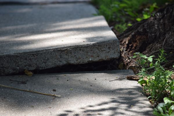 Sidewalk Leveling in Parrish